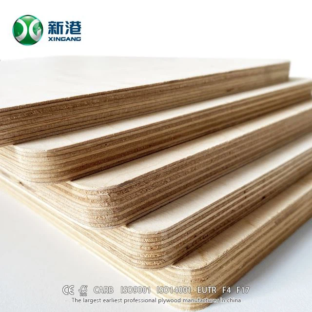 Best Full Birch Plywood XINGANG Brand