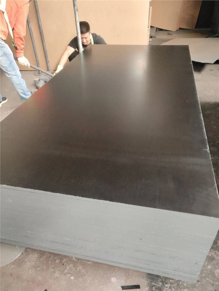 F17 FILM FACED PLYWOOD