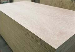 Pilns bērza saplāksnis 16mm