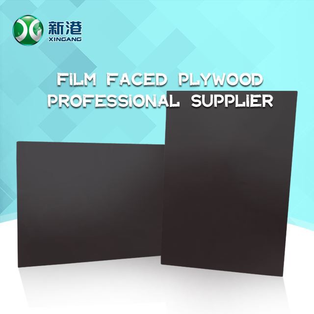 High Quality Plywood Sheet 18mm Film Faced Plywood 18mm Plywood Manufacturer