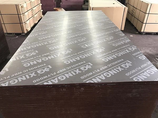 MELAMINE GLUE FILM FACED PLYWOOD BLACK FILM
