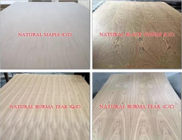 Natural Or Engineered Oak, Walnut, Cherry Veneered MDF Manufacturer