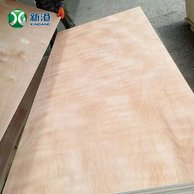 Okoume Face Plywood