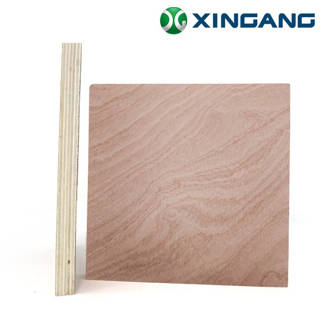 Sapele Plywood