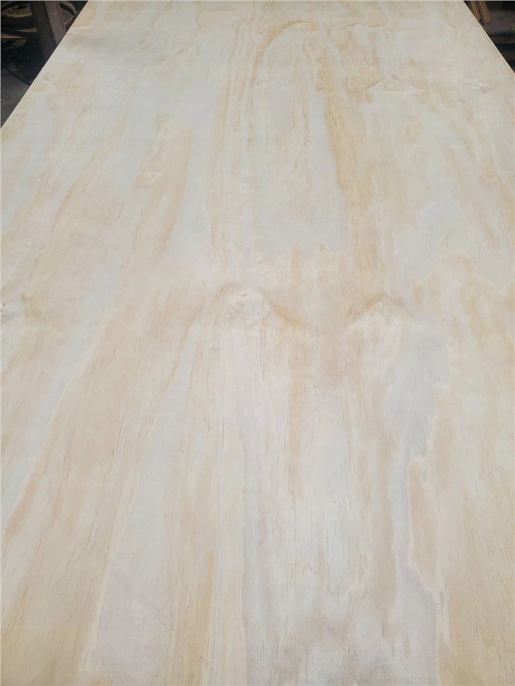 Strukturālais saplāksnis Priedes virspuse un aizmugure Poplar serde Augstas kvalitātes komerciālais saplāksnis