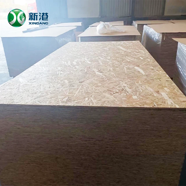 OSB241220